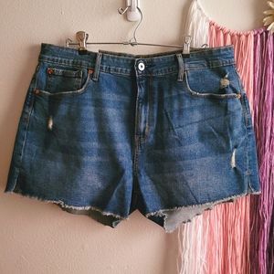 Levi High Rise Jean Shorts